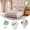 Merrick Lane Cielo Memory Foam Mattress in a Box with 4 Layers, Green Tea-Infused Foam, Air Circulation Foam, Cooling Gel, CertiPUR-US Certified Foam
